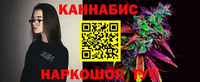 Альфа ПВП Камень-на-Оби