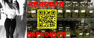 Альфа ПВП Камень-на-Оби