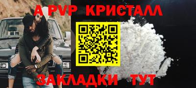 стаф Кизляр